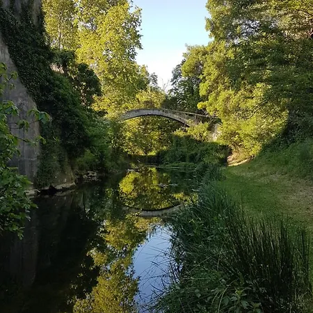 La Glycine *